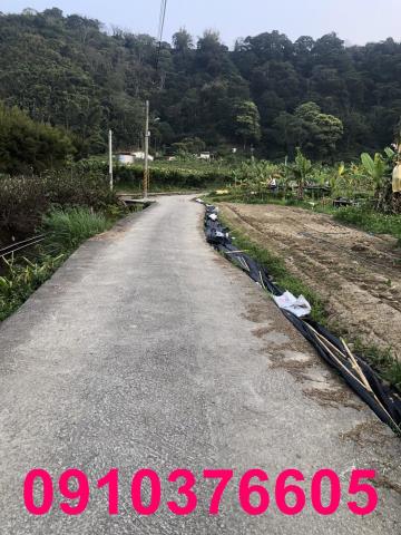 台中東勢農地-0