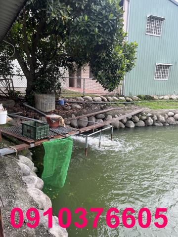 台中農地-6